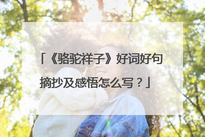《骆驼祥子》好词好句摘抄及感悟怎么写?
