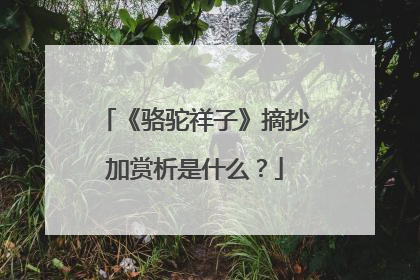 《骆驼祥子》摘抄加赏析是什么？