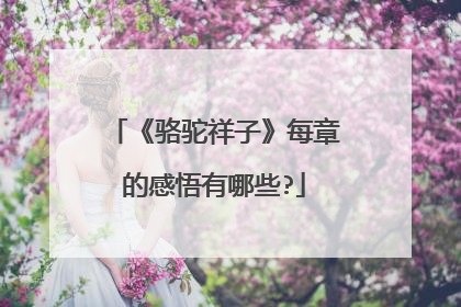 《骆驼祥子》每章的感悟有哪些?