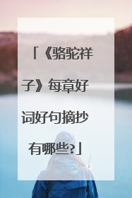 《骆驼祥子》每章好词好句摘抄有哪些?