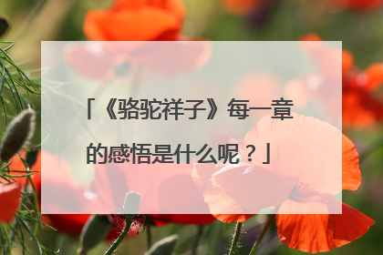 《骆驼祥子》每一章的感悟是什么呢？