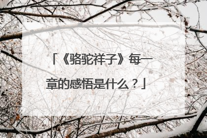 《骆驼祥子》每一章的感悟是什么？