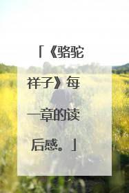 《骆驼祥子》每一章的读后感。