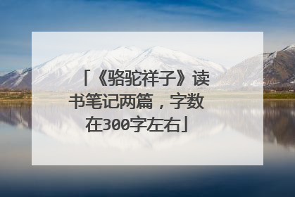《骆驼祥子》读书笔记两篇,字数在300字左右