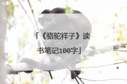 《骆驼祥子》读书笔记100字