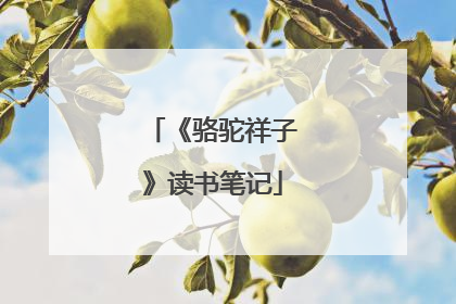 《骆驼祥子》读书笔记