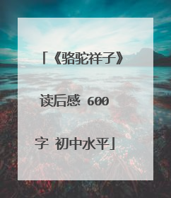 《骆驼祥子》读后感 600字 初中水平
