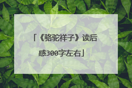《骆驼祥子》读后感300字左右