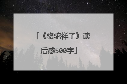 《骆驼祥子》读后感500字