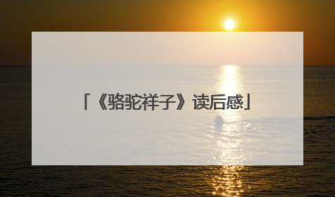 《骆驼祥子》读后感