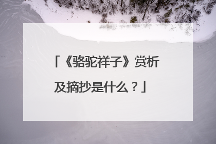 《骆驼祥子》赏析及摘抄是什么？