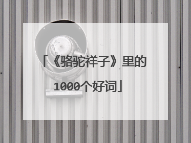 《骆驼祥子》里的1000个好词