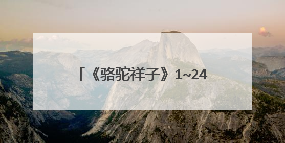 《骆驼祥子》1~24章的好词好句好段摘抄，要多哟，我急需用。