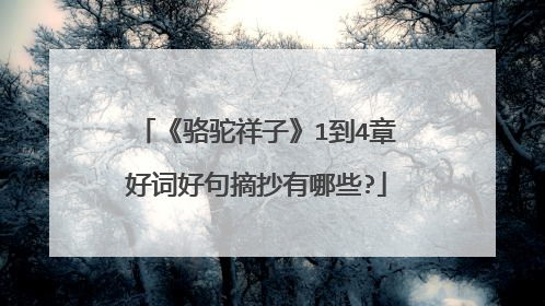 《骆驼祥子》1到4章好词好句摘抄有哪些?