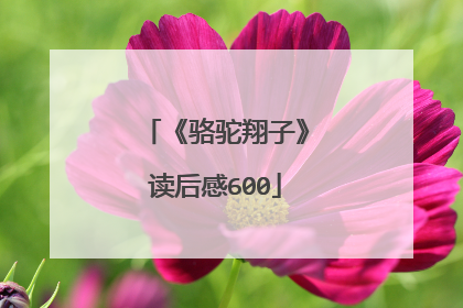 《骆驼翔子》读后感600