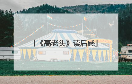 《高老头》读后感