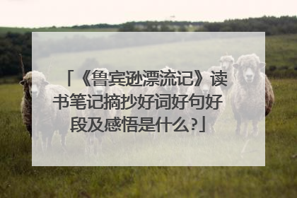 《鲁宾逊漂流记》读书笔记摘抄好词好句好段及感悟是什么?