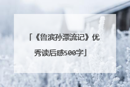 《鲁滨孙漂流记》优秀读后感500字