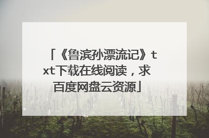 《鲁滨孙漂流记》txt下载在线阅读，求百度网盘云资源