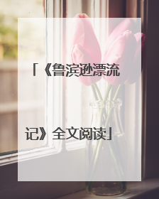 《鲁滨逊漂流记》全文阅读