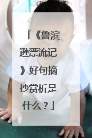 《鲁滨逊漂流记》好句摘抄赏析是什么？