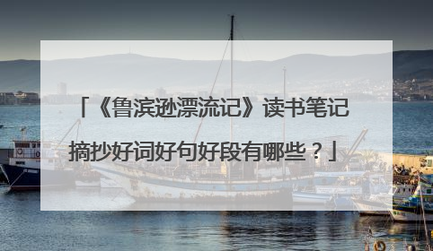 《鲁滨逊漂流记》读书笔记摘抄好词好句好段有哪些?