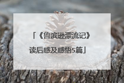 《鲁滨逊漂流记》读后感及感悟5篇