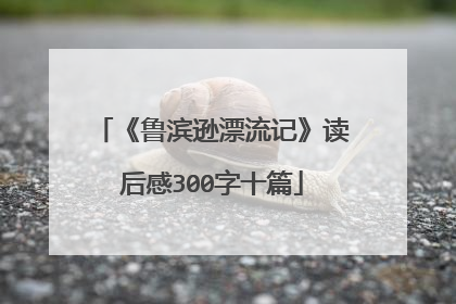 《鲁滨逊漂流记》读后感300字十篇