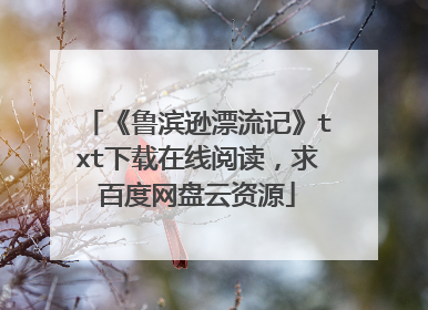 《鲁滨逊漂流记》txt下载在线阅读，求百度网盘云资源