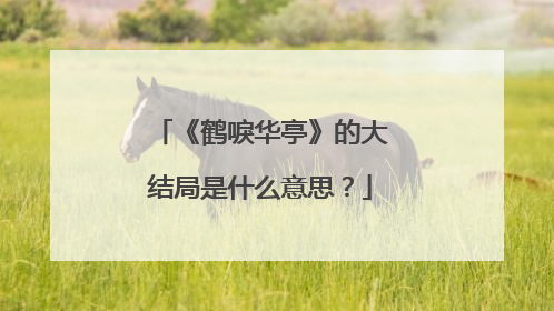 《鹤唳华亭》的大结局是什么意思？