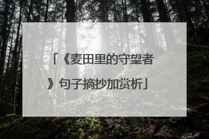 《麦田里的守望者》句子摘抄加赏析