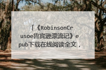 《RobinsonCrusoe鲁宾逊漂流记》epub下载在线阅读全文，求百度网盘云资源
