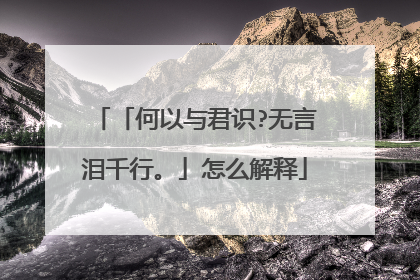 「何以与君识?无言泪千行。」怎么解释