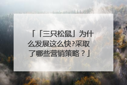 「三只松鼠」为什么发展这么快?采取了哪些营销策略?