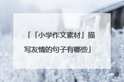「小学作文素材」描写友情的句子有哪些