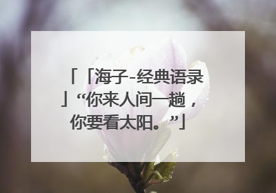 「海子-经典语录」“你来人间一趟,你要看太阳。”