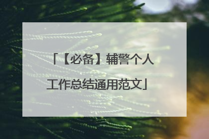 【必备】辅警个人工作总结通用范文