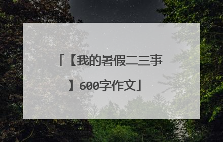 【我的暑假二三事】600字作文