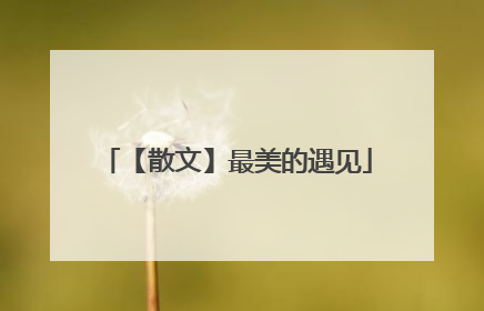 【散文】最美的遇见