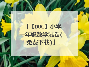 【DOC】小学一年级数学试卷(免费下载)