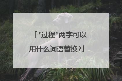 ‘过程’两字可以用什么词语替换?