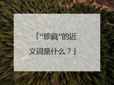 “珍藏”的近义词是什么？