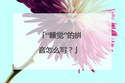 “睡觉”的拼音怎么写?