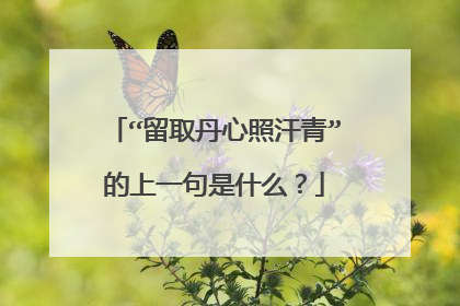 “留取丹心照汗青”的上一句是什么?