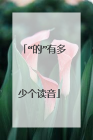 “的”有多少个读音
