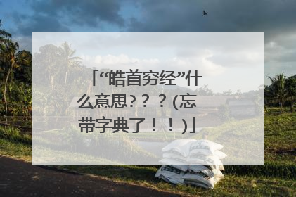 “皓首穷经”什么意思???(忘带字典了!!)