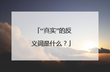 “真实”的反义词是什么？