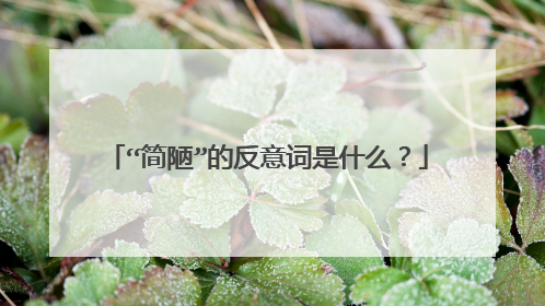 “简陋”的反意词是什么？