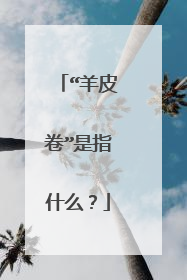 “羊皮卷”是指什么?