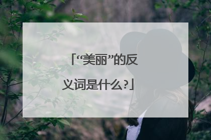 “美丽”的反义词是什么?